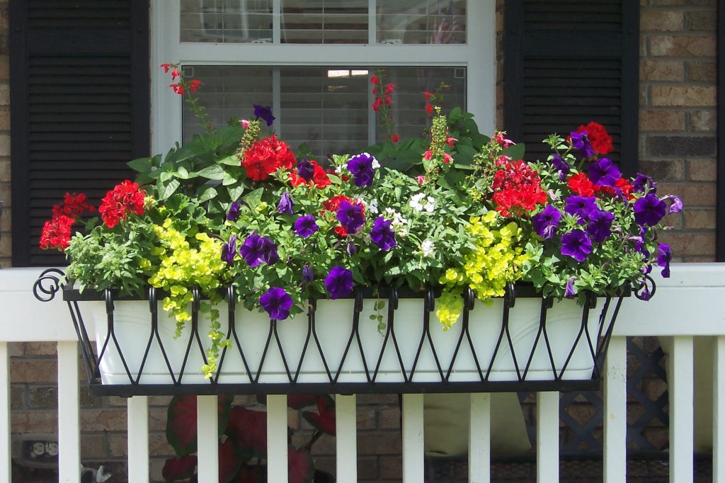 Planter Box