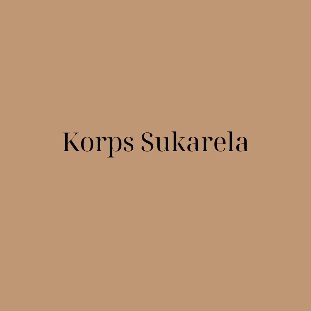 Korps Sukarela