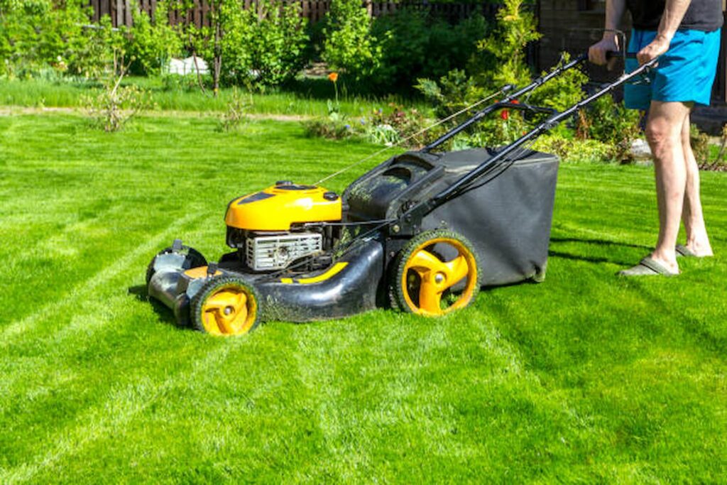 lawn maintenance